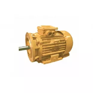 Двигатель асинхронный 3 ДМГ100L2-ОМ5 фото 1